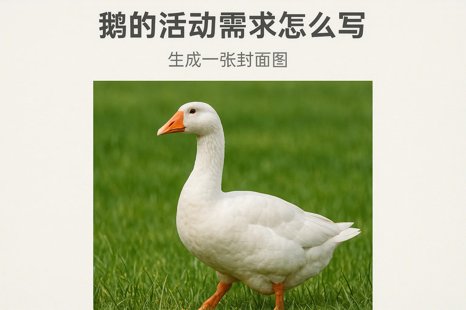 鹅的活动需求怎么写