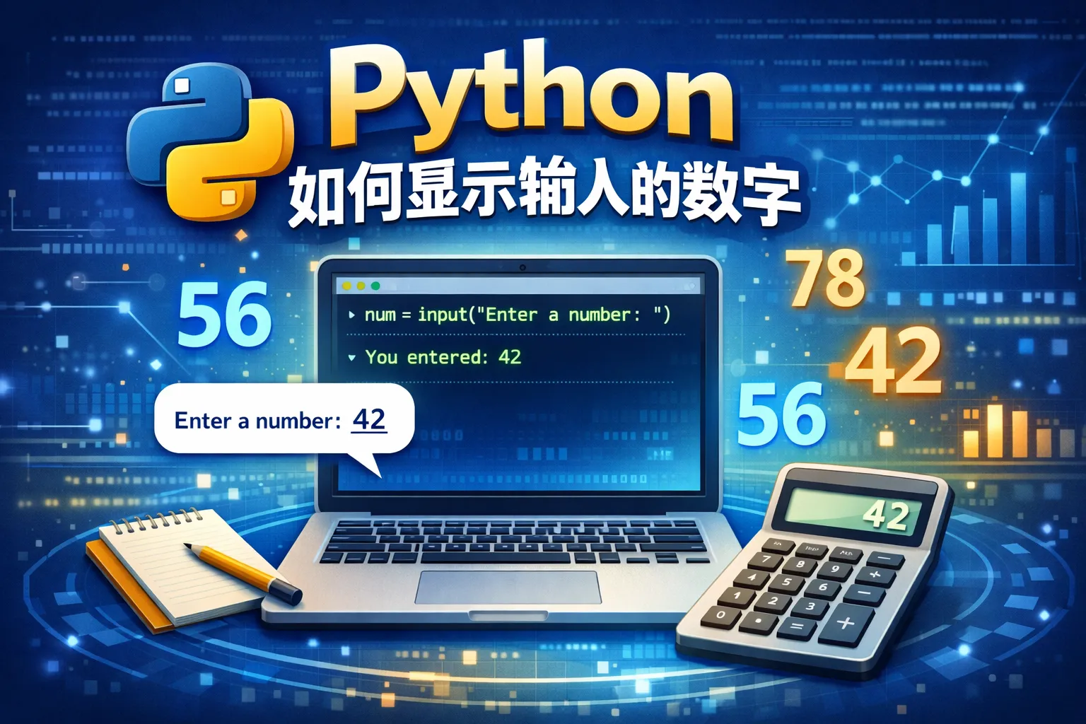 python如何显示输入的数字
